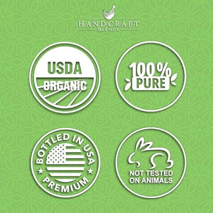Handcraft Blends Bio Teebaumöl – 30 ml – 100% rein und natürlich – Premium-Qualität ätherisches Öl für Diffuser und Aromatherapie