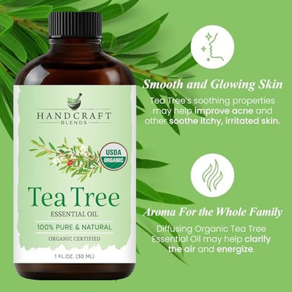 Handcraft Blends Bio Teebaumöl – 30 ml – 100% rein und natürlich – Premium-Qualität ätherisches Öl für Diffuser und Aromatherapie