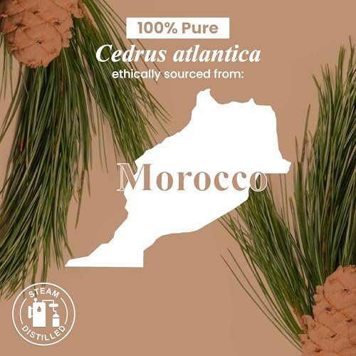 Handcraft Blends Bio-Öl aus Zedernholz – 30 ml – 100% rein und natürlich – Premium-Öl für Diffuser und Aromatherapie