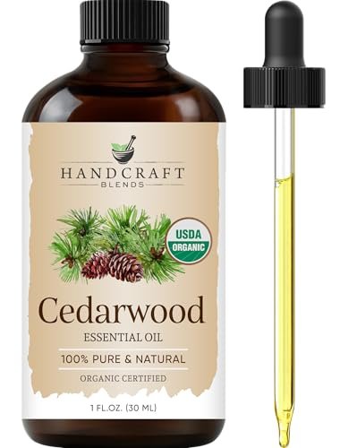 Handcraft Blends Bio-Öl aus Zedernholz – 30 ml – 100% rein und natürlich – Premium-Öl für Diffuser und Aromatherapie