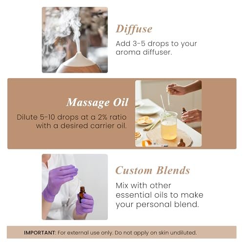 Handcraft Blends Bio-Öl aus Zedernholz – 30 ml – 100% rein und natürlich – Premium-Öl für Diffuser und Aromatherapie