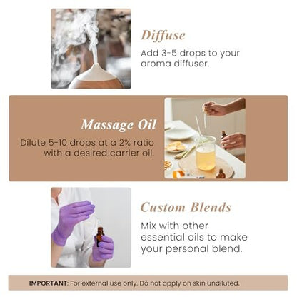 Handcraft Blends Bio-Öl aus Zedernholz – 30 ml – 100% rein und natürlich – Premium-Öl für Diffuser und Aromatherapie