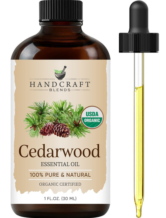 Handcraft Blends Bio-Öl aus Zedernholz – 30 ml – 100% rein und natürlich – Premium-Öl für Diffuser und Aromatherapie