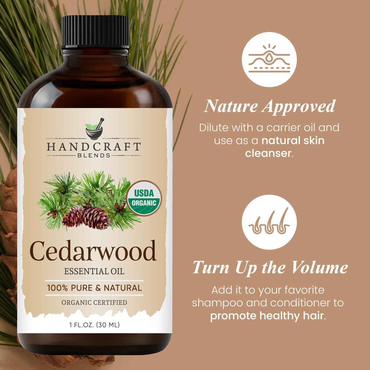 Handcraft Blends Bio-Öl aus Zedernholz – 30 ml – 100% rein und natürlich – Premium-Öl für Diffuser und Aromatherapie