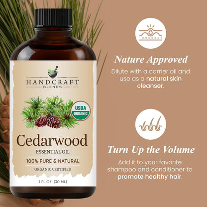 Handcraft Blends Bio-Öl aus Zedernholz – 30 ml – 100% rein und natürlich – Premium-Öl für Diffuser und Aromatherapie