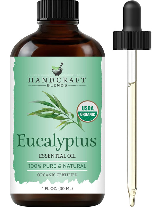 Handcraft Blends Bio Eukalyptus Ätherisches Öl – 30 ml – 100% Rein und Natürlich – Premium Qualität für Diffuser und Aromatherapie