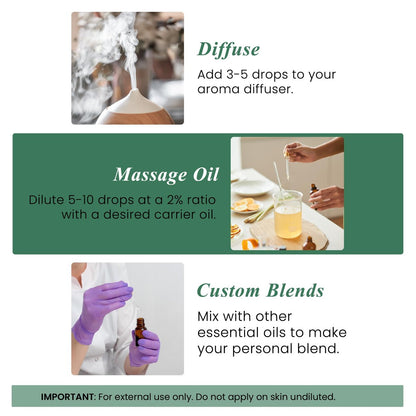 Handcraft Blends Bio Eukalyptus Ätherisches Öl – 30 ml – 100% Rein und Natürlich – Premium Qualität für Diffuser und Aromatherapie