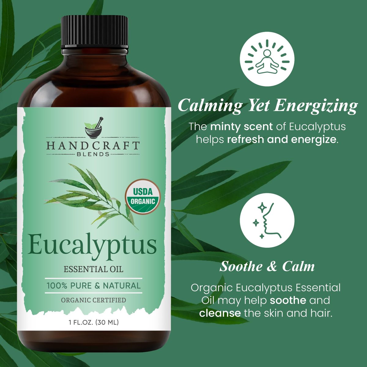 Handcraft Blends Bio Eukalyptus Ätherisches Öl – 30 ml – 100% Rein und Natürlich – Premium Qualität für Diffuser und Aromatherapie