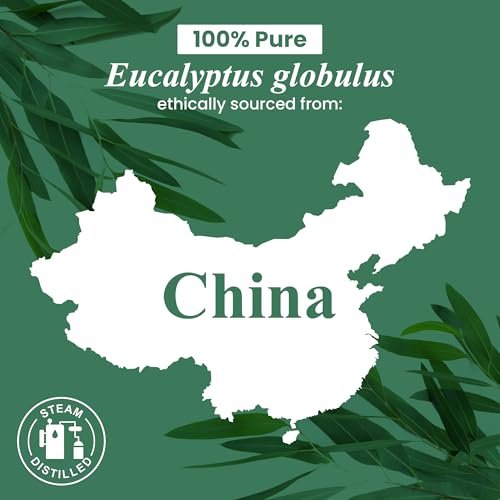 Handcraft Blends Bio Eukalyptus Ätherisches Öl – 30 ml – 100% Rein und Natürlich – Premium Qualität für Diffuser und Aromatherapie