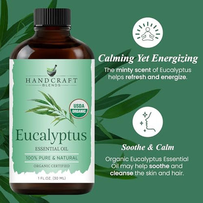 Handcraft Blends Bio Eukalyptus Ätherisches Öl – 30 ml – 100% Rein und Natürlich – Premium Qualität für Diffuser und Aromatherapie