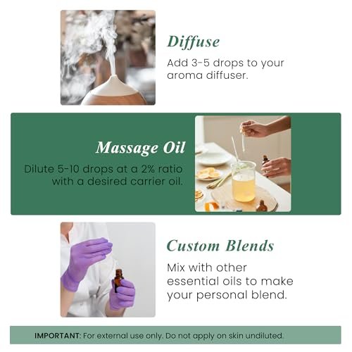 Handcraft Blends Bio Eukalyptus Ätherisches Öl – 30 ml – 100% Rein und Natürlich – Premium Qualität für Diffuser und Aromatherapie