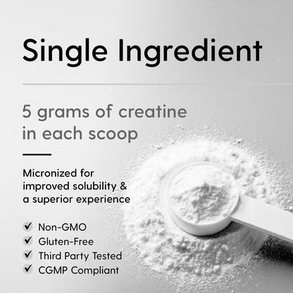 HEARTHY FOODS Creatin Monohydrat Mikronisiertes Pulver 500 g - 100 Portionen, 5000 mg pro Portion (5 g) - für Männer & Frauen Muskelwachstum & Erholung - UNGESÜSST