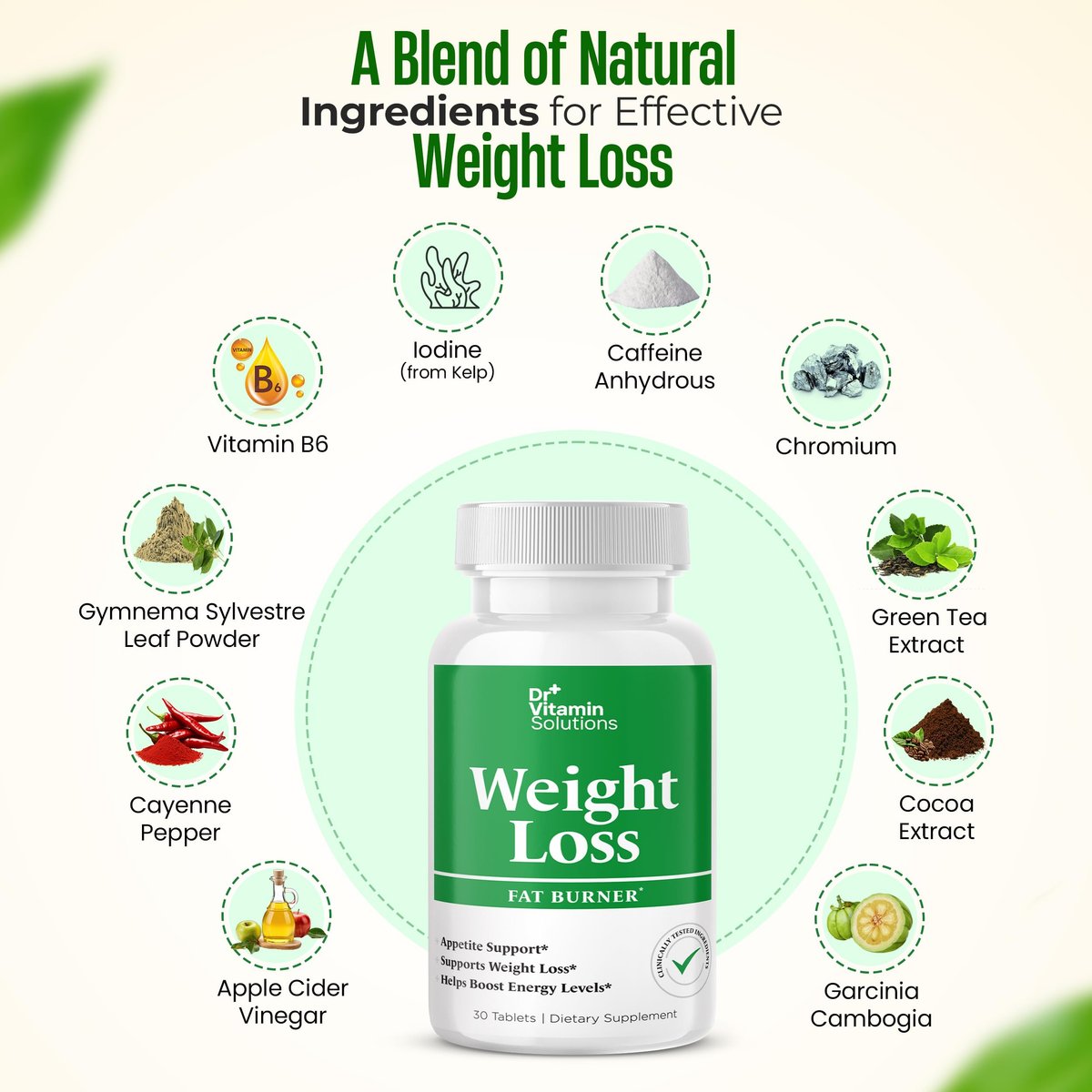 Fatburner für Frauen und Männer – Appetitzügler & Thermo-Booster mit Grüntee, Garcinia Cambogia & Chrom – 30-Tage-Vorrat, Dr Vitamin