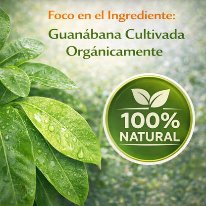 Guanabana (Soursop) 90 Kapseln – 1100 mg pro Portion – Hochwertige Mischung aus 100 % natürlichen Premium-Inhaltsstoffen, pflanzlich, biologisch angebaut