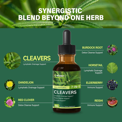 DetoxenNATURE Cleavers Herb Extract Organic Drops – Lymphatische Drainage & Detox Unterstützung mit Löwenzahn, Schachtelhalm, Holunder und Reishi – 60 ml