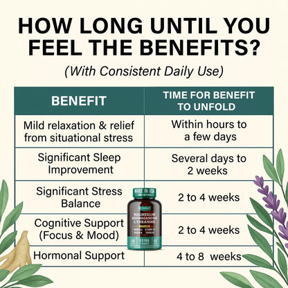 Cortisol Reducer & Adrenal Support Supplement – Natürlicher Stressabbau mit Ashwagandha KSM-66, Magnesiumglycinat & -citrat, L-Theanin, Rhodiola, Apigenin, Kurkuma & Vitamin D3 – Für Ruhe & Entspannung