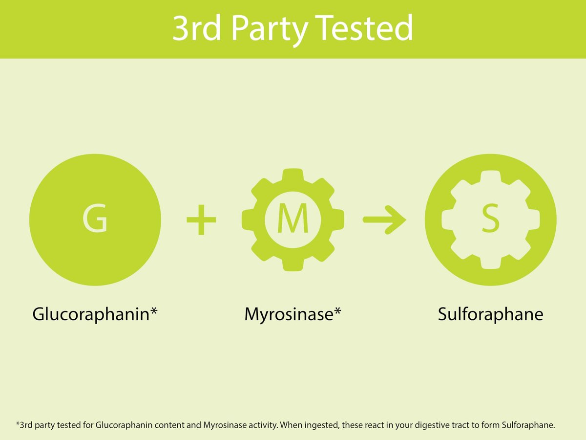 KOYAH - Bio Brokkoli Sprossen Kapseln – Gefriergetrocknete ganze Brokkolisprossen – 3rd Party getestet auf aktive Myrosinase & Glucoraphanin (Sulforaphan-Glucosinolat) – 60 Kapseln