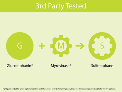 KOYAH - Bio Brokkoli Sprossen Kapseln – Gefriergetrocknete ganze Brokkolisprossen – 3rd Party getestet auf aktive Myrosinase & Glucoraphanin (Sulforaphan-Glucosinolat) – 60 Kapseln