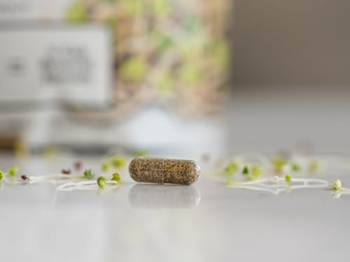 KOYAH - Bio Brokkoli Sprossen Kapseln – Gefriergetrocknete ganze Brokkolisprossen – 3rd Party getestet auf aktive Myrosinase & Glucoraphanin (Sulforaphan-Glucosinolat) – 60 Kapseln