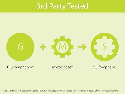 KOYAH - Bio Brokkoli Sprossen Kapseln – Gefriergetrocknete ganze Brokkolisprossen – 3rd Party getestet auf aktive Myrosinase & Glucoraphanin (Sulforaphan-Glucosinolat) – 60 Kapseln