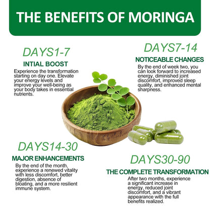 Moringa Kapseln, Reines Moringa Pulver 800mg pro Portion – Reich an Antioxidantien, Mineralien & Vitaminen | Grünes Superfood – Natürliches & Veganes Nahrungsergänzungsmittel – 60 Kapseln