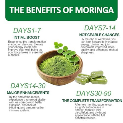 Moringa Kapseln, Reines Moringa Pulver 800mg pro Portion – Reich an Antioxidantien, Mineralien & Vitaminen | Grünes Superfood – Natürliches & Veganes Nahrungsergänzungsmittel – 60 Kapseln