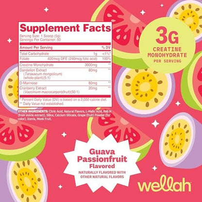 Wellah Creatin für Frauen – Creatin-Monohydrat mit Löwenzahn & Cranberry-Extrakt (50 Portionen, Guave-Passionsfrucht)