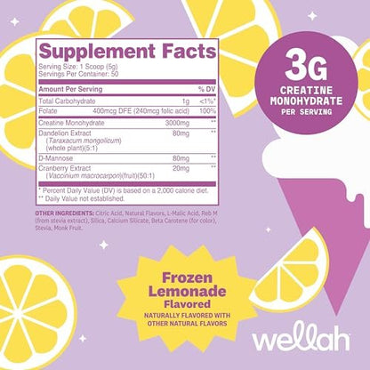 Wellah Creatin für Frauen – Kreatin-Monohydrat mit Löwenzahn & Cranberry-Extrakt (50 Portionen, Gefrorene Limonade)