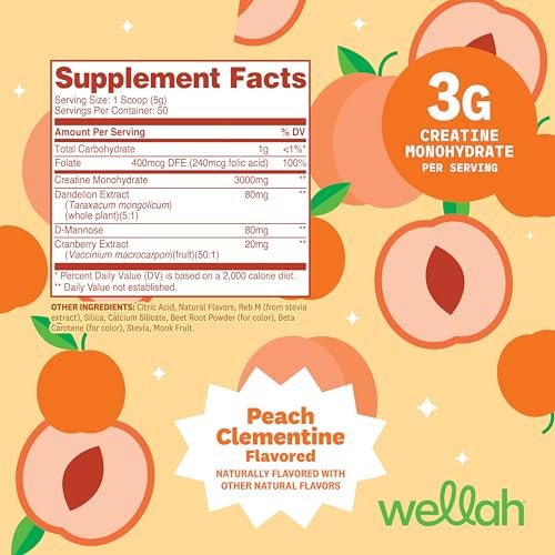 Wellah Creatine für Frauen – Creatin-Monohydrat mit Löwenzahn & Cranberry-Extrakt (50 Portionen, Clementine-Pfirsich)