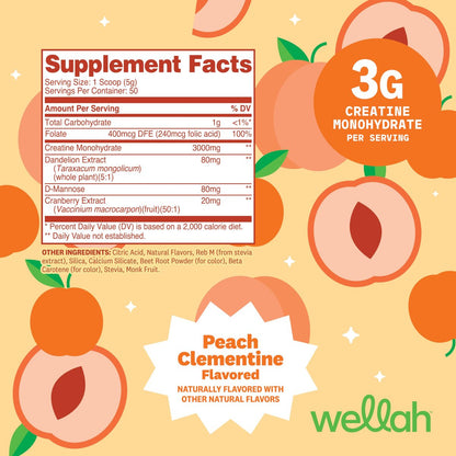 Wellah Creatine für Frauen – Creatin-Monohydrat mit Löwenzahn & Cranberry-Extrakt (50 Portionen, Clementine-Pfirsich)