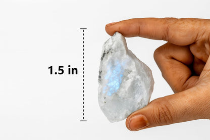 Große 1,25-2,0" Natürliche Regenbogen-Mondstein Rohkristalle für Meditation, Chakra, Reiki, Kristallgitter, Energiearbeit, Drahtwickeln & Spirituelle Wohnkultur