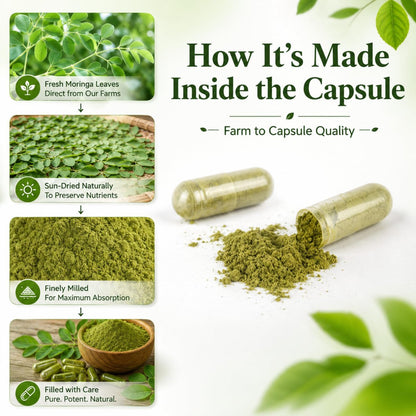 Bio Moringa Kapseln 800mg – Natürliche Energie, Immununterstützung & Darmgesundheit – Reich an Antioxidantien, Vitaminen & Aminosäuren – Nicht-GVO & Glutenfrei (120 Kapseln, 1er-Pack)