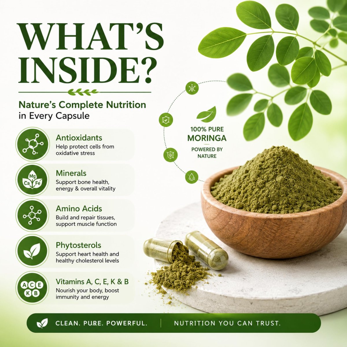 Bio Moringa Kapseln 800mg – Natürliche Energie, Immununterstützung & Darmgesundheit – Reich an Antioxidantien, Vitaminen & Aminosäuren – Nicht-GVO & Glutenfrei (120 Kapseln, 1er-Pack)