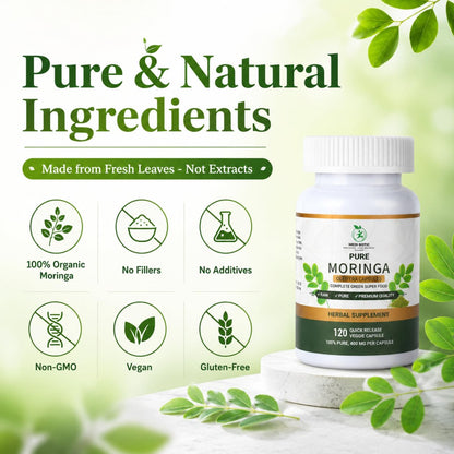 Bio Moringa Kapseln 800mg – Natürliche Energie, Immununterstützung & Darmgesundheit – Reich an Antioxidantien, Vitaminen & Aminosäuren – Nicht-GVO & Glutenfrei (120 Kapseln, 1er-Pack)