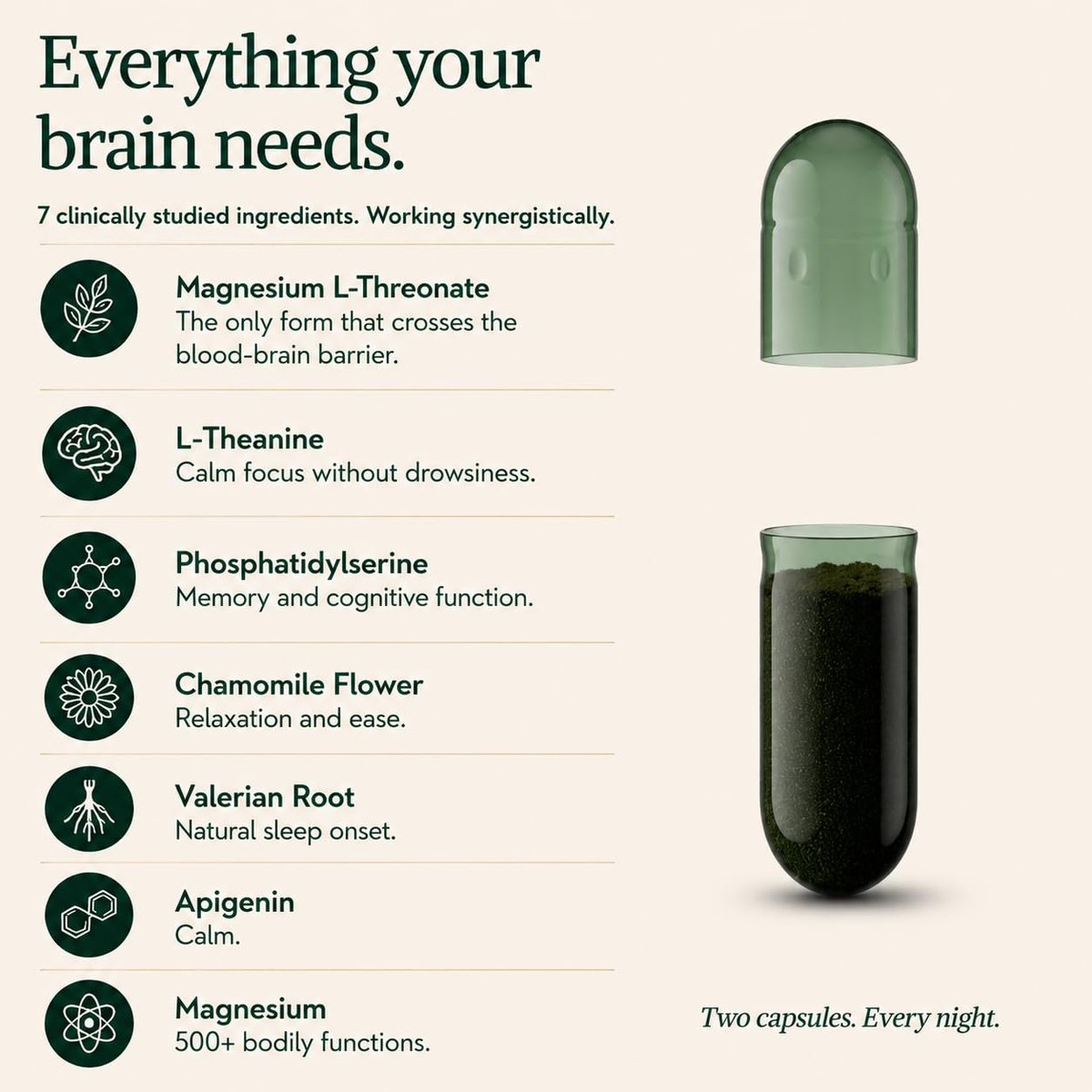 Magnesium L-Threonat mit Apigenin, Baldrianwurzel & L-Theanin – Schlaf- und Gehirnergänzung ohne Melatonin – klinisch untersuchte 7-Inhaltsstoff-Formel – Gedächtnis & Fokus – 60 Kapseln