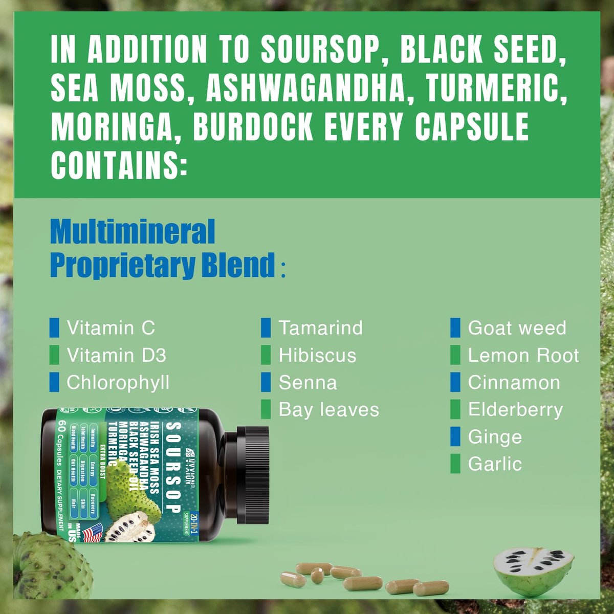 Soursop Graviola Komplex mit Seemoos, Moringa, Kurkuma, Schwarzkümmelöl, Oregano, Ashwagandha | 20-in-1 Kräuterextrakte für die allgemeine Gesundheit | Vegan, Nicht-GVO | 60 Kapseln