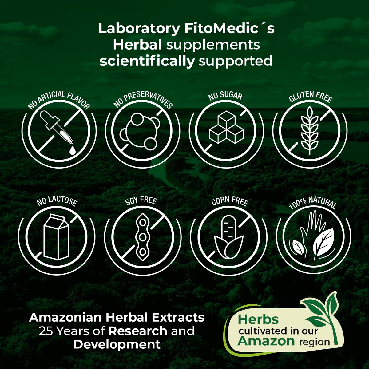 FITO MEDIC'S Lab Ashwagandha Kapseln – 90 Kapseln | Hochwertiges Nahrungsergänzungsmittel