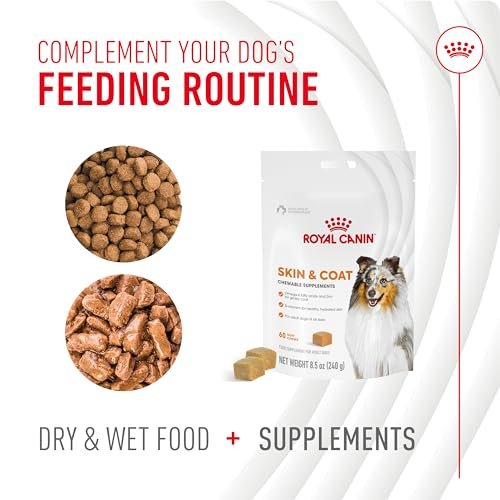 Royal Canin Haut & Fell Hundesupplement Weiche Kausnacks für erwachsene Hunde, 60 Stück