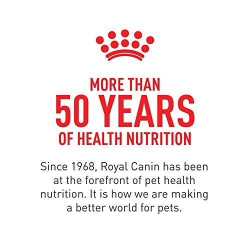 Royal Canin Haut & Fell Hundesupplement Weiche Kausnacks für erwachsene Hunde, 60 Stück