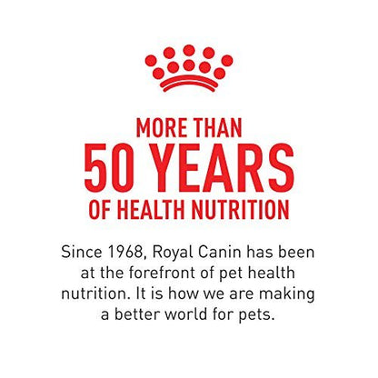 Royal Canin Haut & Fell Hundesupplement Weiche Kausnacks für erwachsene Hunde, 60 Stück