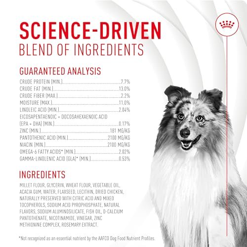 Royal Canin Haut & Fell Hundesupplement Weiche Kausnacks für erwachsene Hunde, 60 Stück