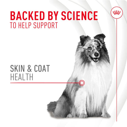 Royal Canin Haut & Fell Hundesupplement Weiche Kausnacks für erwachsene Hunde, 60 Stück