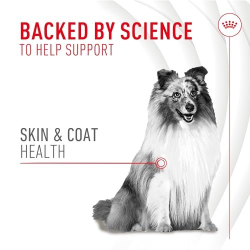 Royal Canin Haut & Fell Hundesupplement Weiche Kausnacks für erwachsene Hunde, 60 Stück