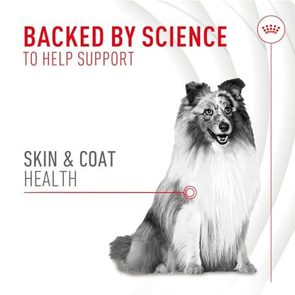 Royal Canin Haut & Fell Hundesupplement Weiche Kausnacks für erwachsene Hunde, 60 Stück
