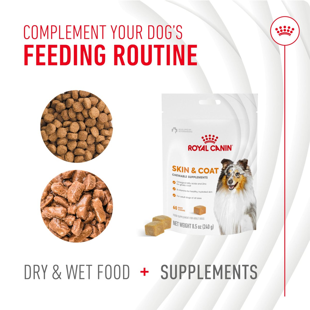 Royal Canin Haut & Fell Hundesupplement Weiche Kausnacks für erwachsene Hunde, 60 Stück