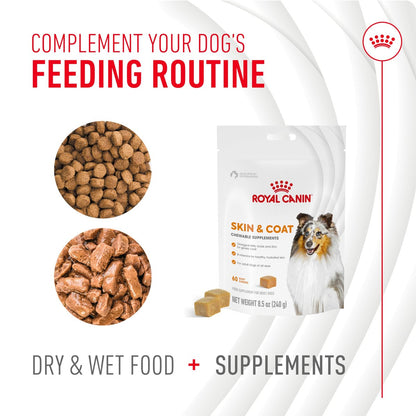 Royal Canin Haut & Fell Hundesupplement Weiche Kausnacks für erwachsene Hunde, 60 Stück