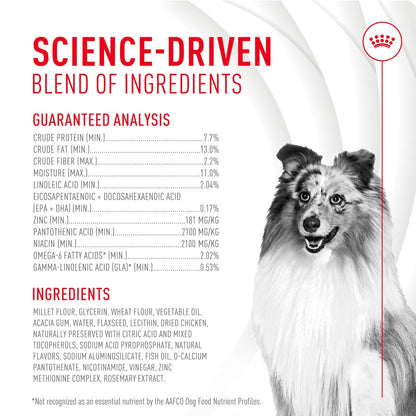 Royal Canin Haut & Fell Hundesupplement Weiche Kausnacks für erwachsene Hunde, 60 Stück
