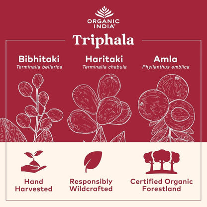 ORGANIC INDIA Triphala Kapseln Bio – Pflanzliches Nahrungsergänzungsmittel mit Amla, Bibhitaki, Haritaki für Verdauung & Darmunterstützung, Immunsystem, Adaptogen, Vegan, USDA Bio – 60 Kapseln