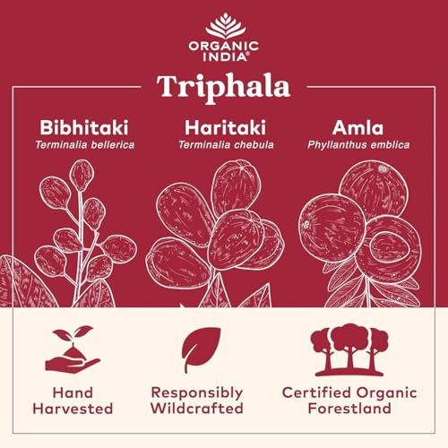 ORGANIC INDIA Triphala Kapseln Bio – Pflanzliches Nahrungsergänzungsmittel mit Amla, Bibhitaki, Haritaki für Verdauung & Darmunterstützung, Immunsystem, Adaptogen, Vegan, USDA Bio – 60 Kapseln