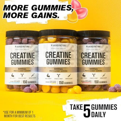 Jacked Factory Creatin-Monohydrat Gummibärchen – 5g Tagesdosis (1g pro Gummibärchen) – Vegan, reisefreundlich, drittanbietergetestet – 150 Gummibärchen, Wassermelone